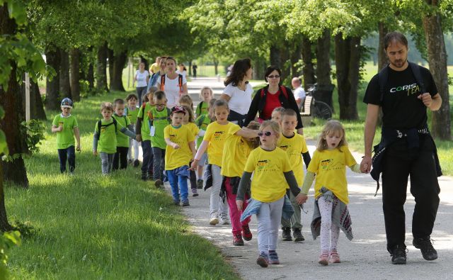 Na pot ob žici se prvi podajo otroci iz vrtcev, za njimi šolarji, konča se s pohodi in tekom. Foto Tomi Lombar