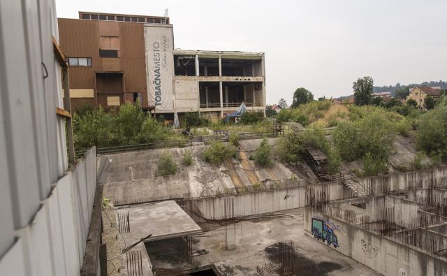 Zaraščena gradbena jama na območju Tobačne bo morda sredi junija dobila kupca, ki bo dokončal projekt Tobačna mesto. Foto Voranc Vogel