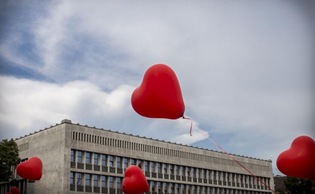 Problem Slovenije – v primerjavi z drugimi novimi državami – je bil v tem, da pred letom 1991 ni obstajala kot država, da ni imela svoje vojske niti diplomacije in da jo je bilo treba kot državo šele ustanoviti. FOTO: Voranc Vogel