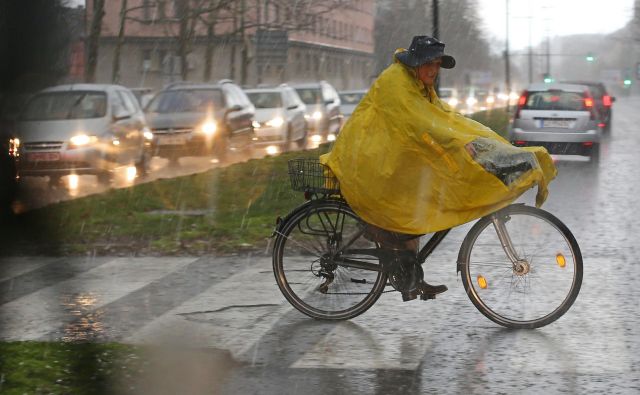 Po napovedi vremenoslovcev se bodo v osrednji in vzhodni Sloveniji začele pojavljati krajevne nevihte, ki se bodo ponekod nadaljevale v noč ter tudi v soboto. FOTO: Tomi Lombar