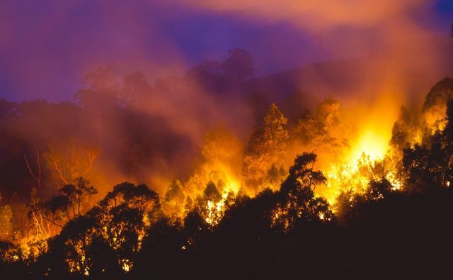 Požari so avgusta, ko je v Avstraliji zima, precej neobičajni. FOTO: Carbongrief.org