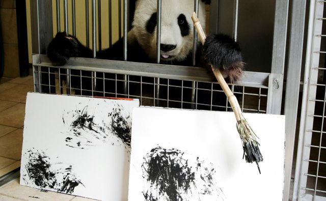 Panda Yang Yang  FOTO: Heinz-Peter Bader/Reuters