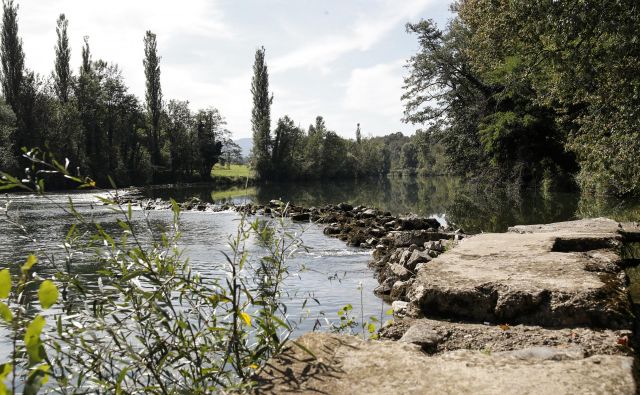 Ravnanje nekaterih nevladnikov pomeni izigravanje načel pravne države. To škoduje tako pribežnikom kot državi. 