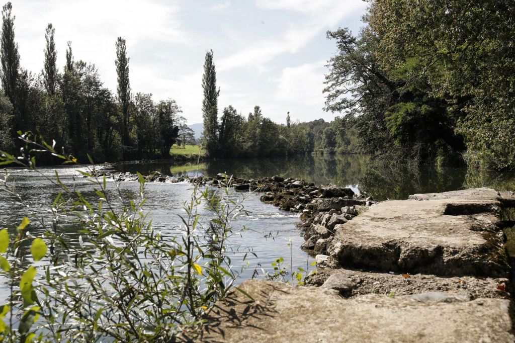 FOTO:Azil, nevladniki in zlorabe sistema