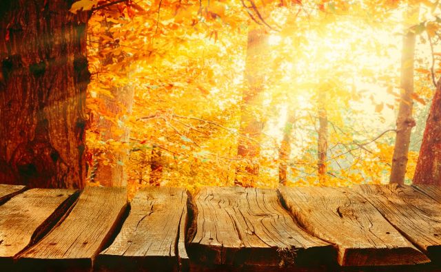 V naše kraje je prišla jesen, ki prinaša mrzla jutra, čez dan pa bomo deležni več sonca. FOTO: Getty Images/Istockphoto
