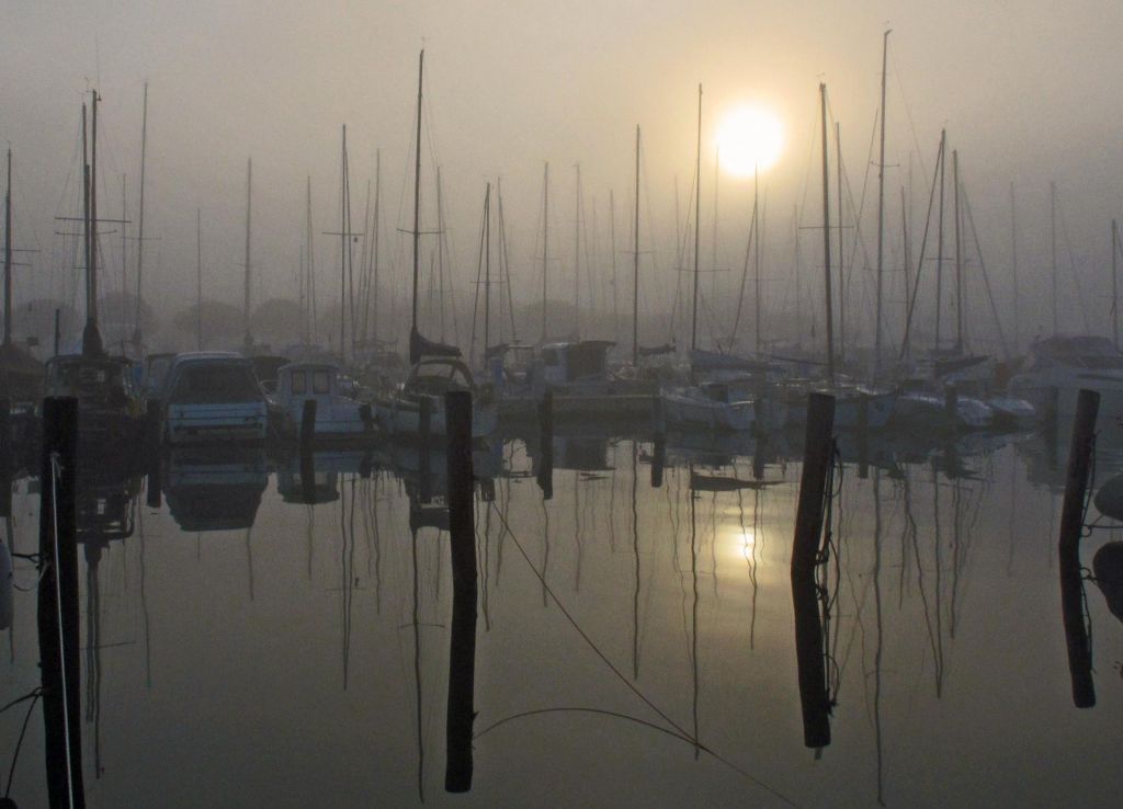 Marina Portorož v roke Darka Klariča in menedžerjev Lesnine