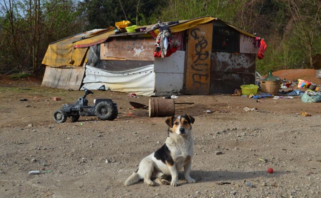 V resoluciji Svet Evrope predlaga tudi okrepitev varstva pravice Romov do posesti, ko živijo v neformalnih naseljih. Tudi z legalizacijo, kjer je to mogoče. FOTO: Tanja Jakše Gazvoda