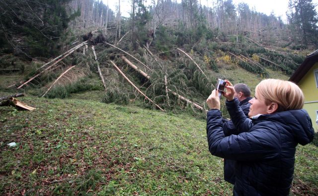 Ministrica za kmetijstvo Aleksandra Pivec je po ogledu škode v Koprivni kmetom obljubila pomoč najprej pri čim hitrejši sanaciji, nato pa pri ponovnem zasejevanju prizadetih območij. FOTO: Tadej Regent/Delo