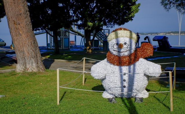 Čudo iz Čudolandije FOTO: Jože Suhadolnik