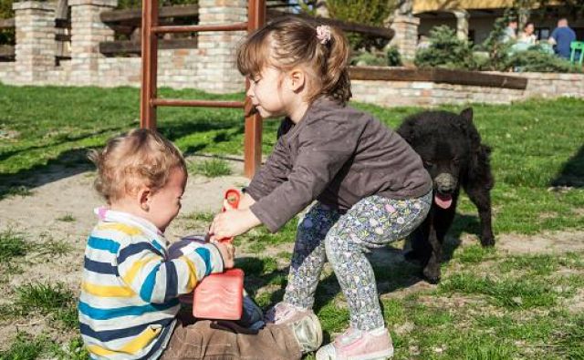 V Avstriji je otroški dodatek ukrep družinske politike in ga dobijo vsi otroci, višina je odvisna od njihove starosti. Foto Getty Images/istockphoto