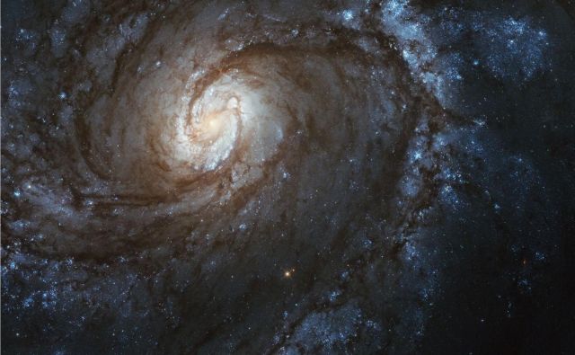 Spiralna galaksija M100, posneta z zadnjo kamero, ki so jo namestili leta 2009. FOTO: NASA, ESA, STScI in Judy Schmidt 