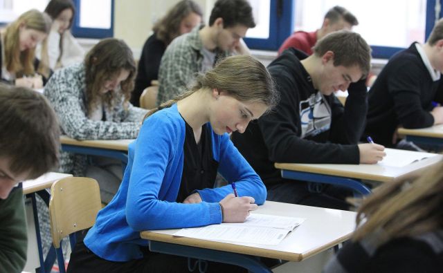 Petka na gimnaziji je več kot petka na strokovni šoli, pravi ravnateljica Gimnazije Vič Alenka Krapež. FOTO: Leon Vidic/Delo