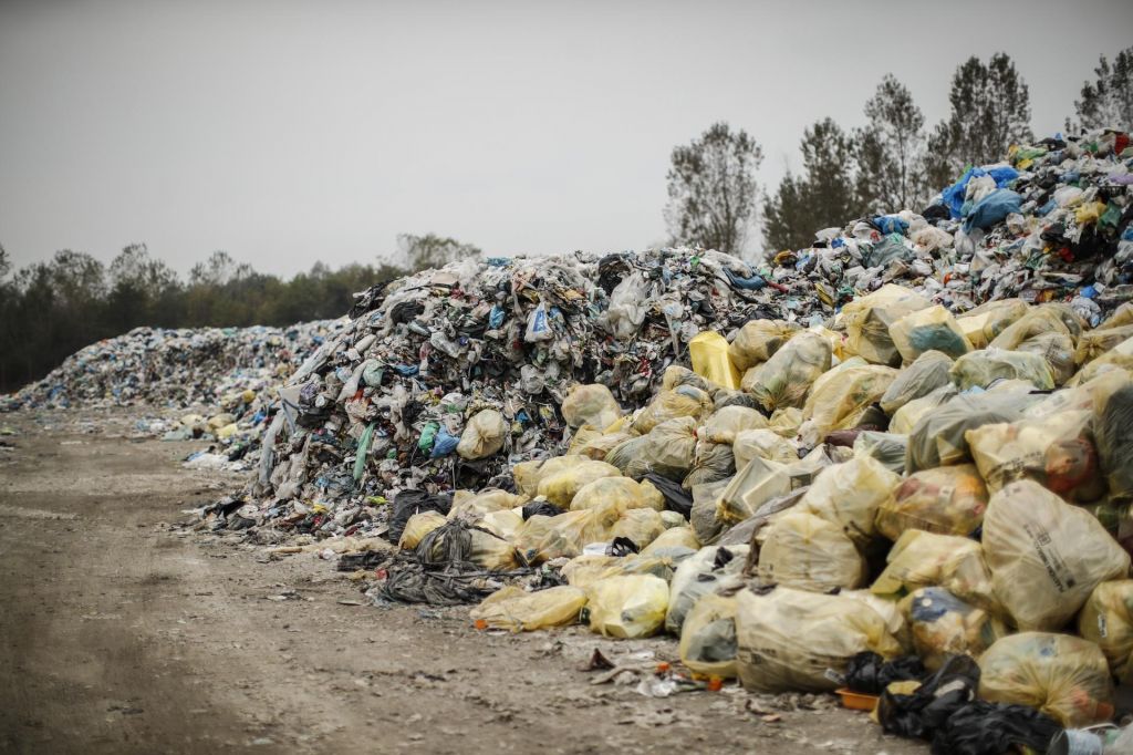 FOTO:V Indiji svete krave še žvečijo plastiko