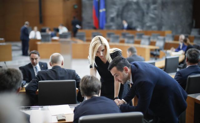 Pred poslanci, ki bodo 10. januarja vnovič začeli redna zasedanja, bodo najprej na vrsti kadrovska vprašanja. FOTO: Uroš Hočevar/Delo