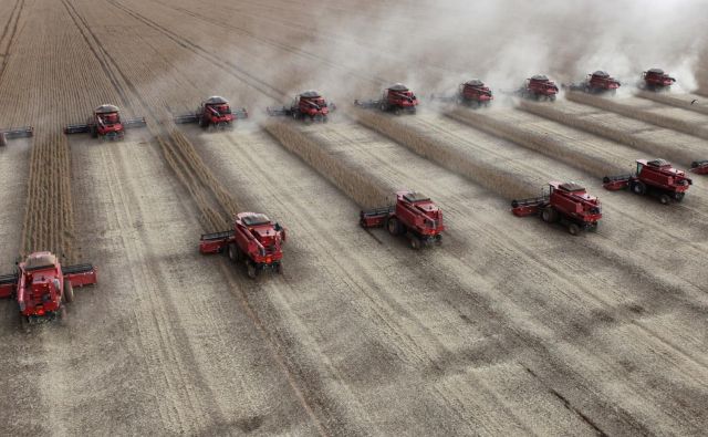 Ameriški delež v evropskem uvozu soje je že 74,5-odstotni. FOTO: Reuters