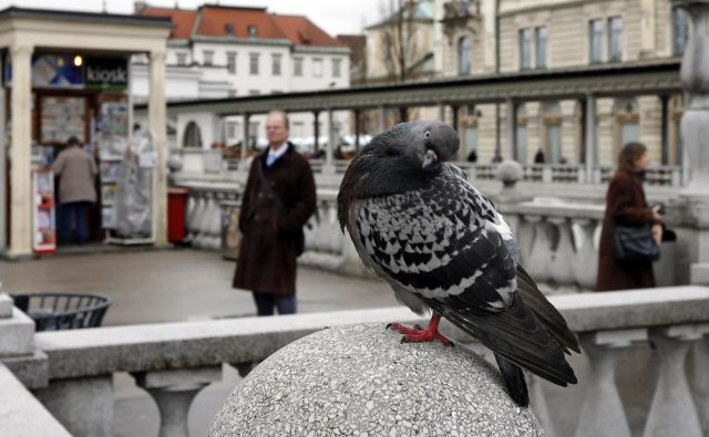 Kioski, v katerih kupci še danes najdejo vse, od tobačnih izdelkov do prigrizkov in seveda časopisov, so od nekdaj del urbanih središč. Krasijo tako rekoč vse evropske prestolnice, od Londona, Pariza, Ljubljane do Beograda. FOTO: Matej Družnik/Delo