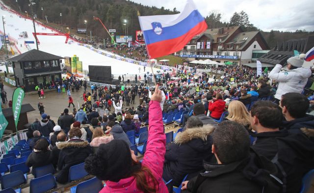 Zlata lisica je kljub slabemu vremenu povsem upravičila pričakovanja. FOTO: Tadej Regent/Delo