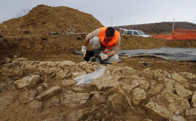 Medtem ko bodo arheologi izkopavali, bodo projektanti urejali dokumentacijo. FOTO: Miha Murko