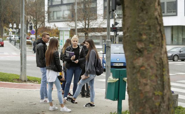 V iniciativi Mladi za podnebno pravičnost so zaskrbljeni za prihodnost sveta, v katerem mladi odraščajo. FOTO: Leon Vidic/Delo