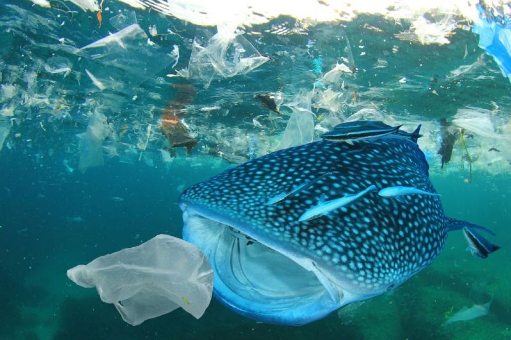 Onesnaženje s plastiko ni le grdo, je tudi nevarno