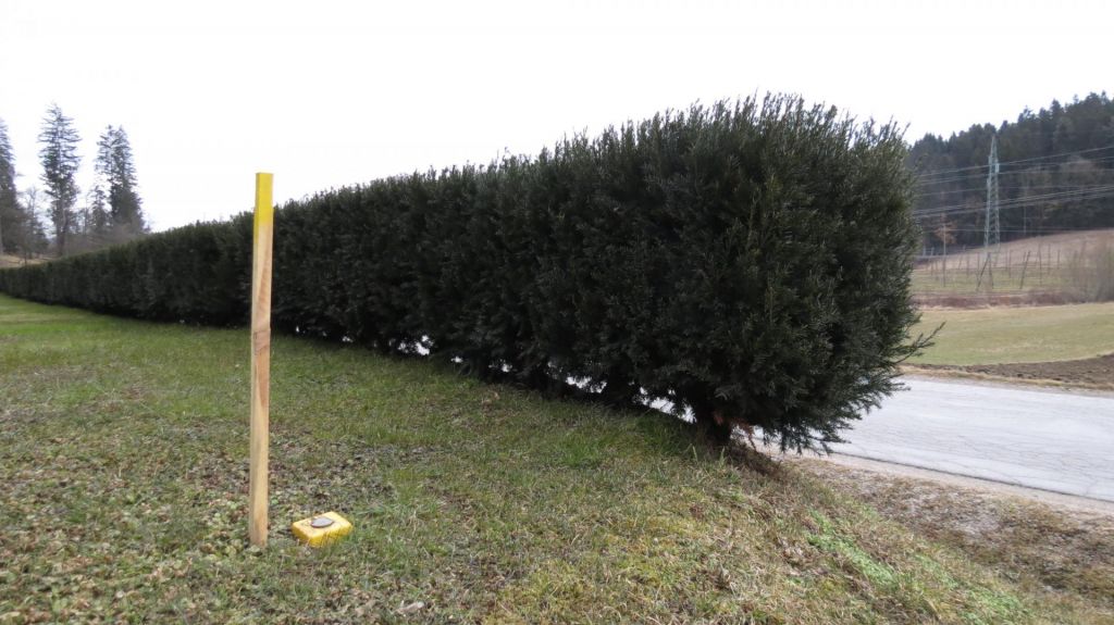 Tretja razvojna os: ker ni term, nočejo priključka