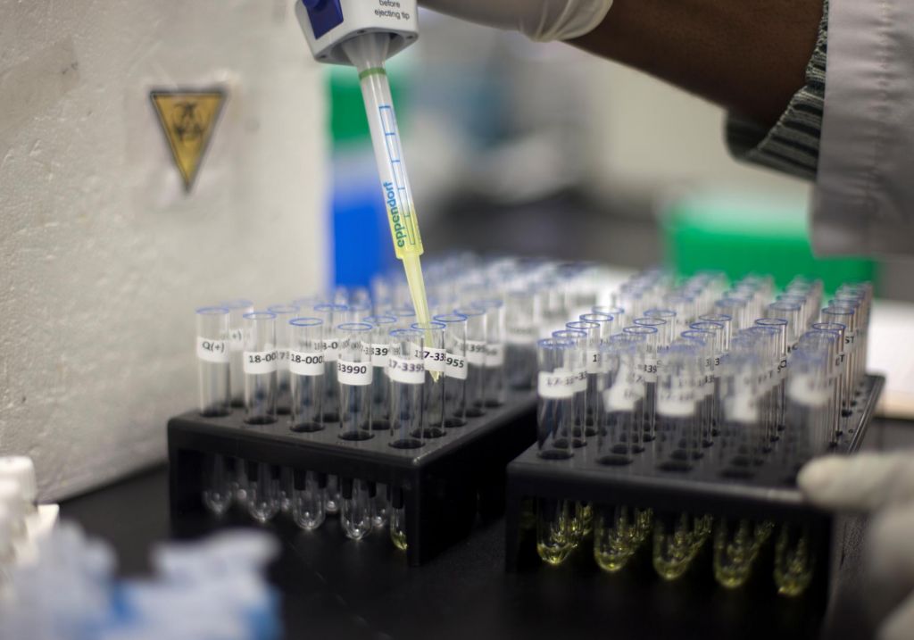 Lovke segajo tudi v Slovenijo