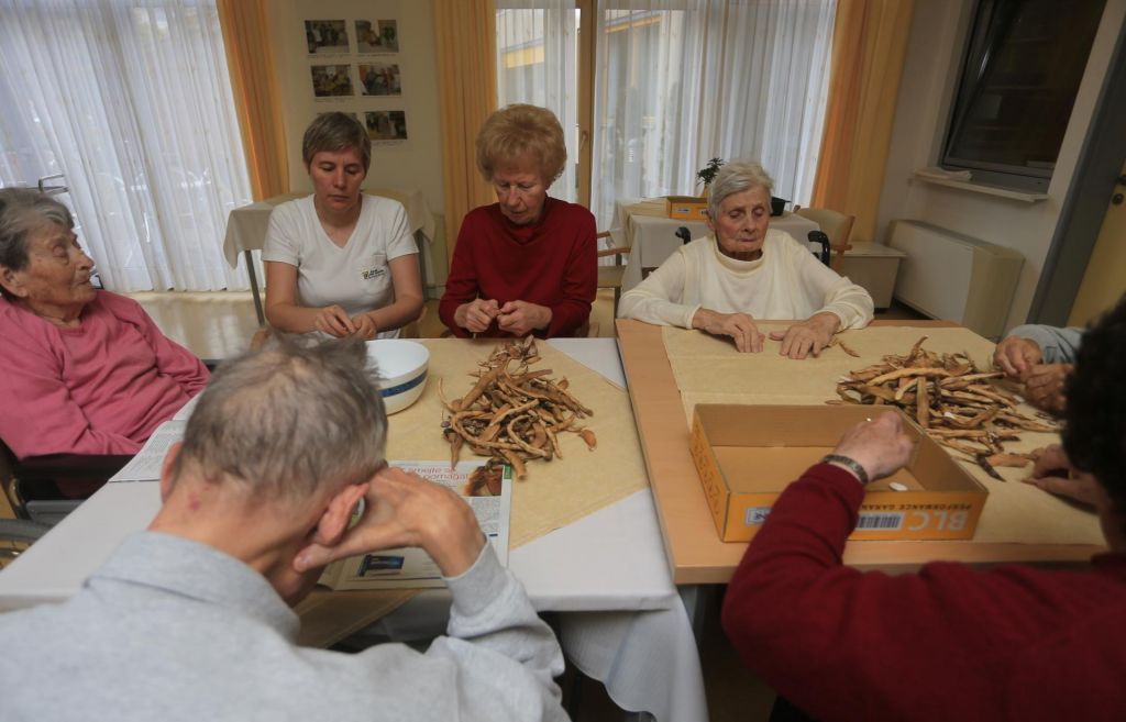 FOTO:Dodatne storitve v domovih še vedno dvigajo veliko prahu