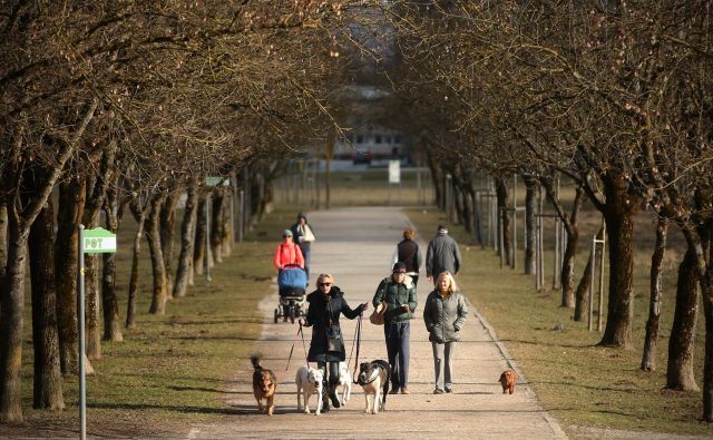 ”Pred časom smo peljali na sprehod družinsko zverino, kar srečamo par, ki nas pozdravi: »Ta pa rad jè ...« Ozrem se: za mano gresta moja boljša in naša štirinožna polovica. »Ali mislite mojega psa ali mojega moža?« Opravičila nismo dočakali ...” FOTO: Jure Eržen/delo