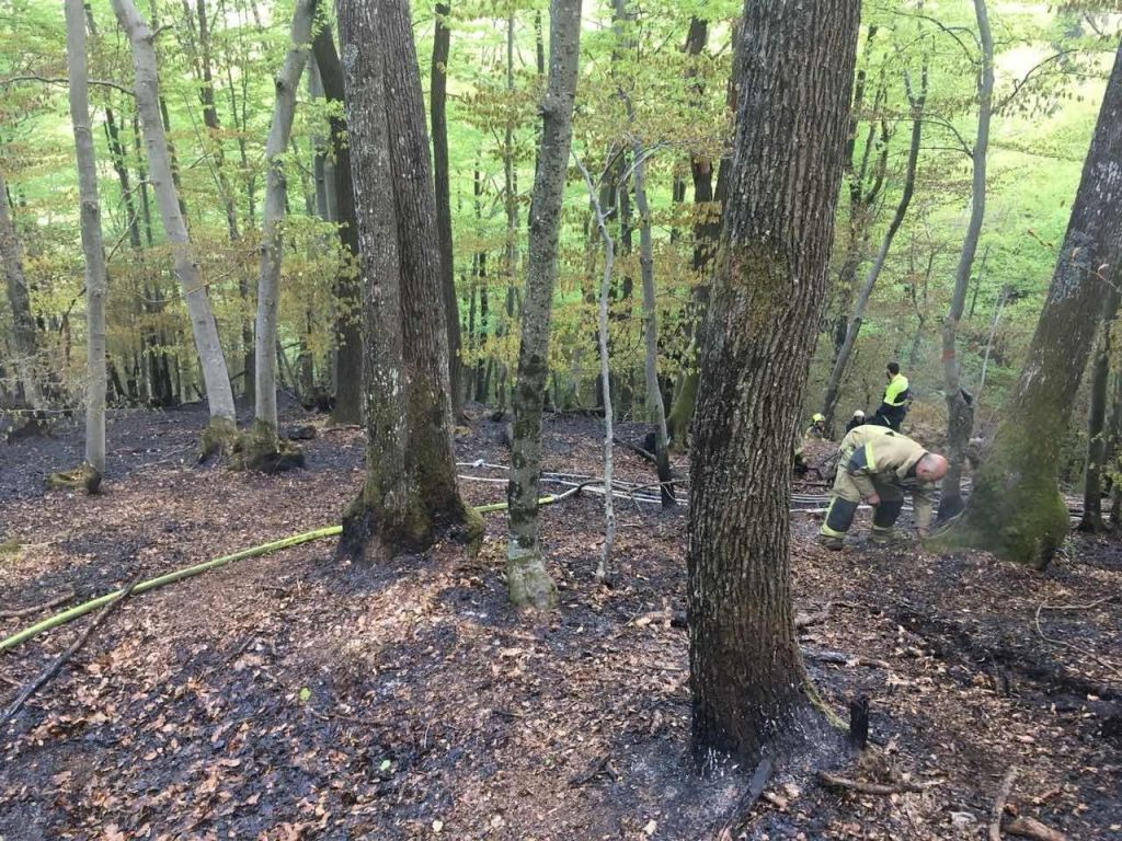 FOTO:Požar nad kamnolomom pogasili
