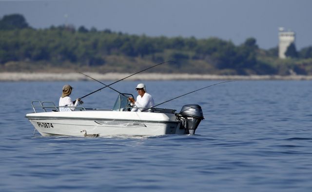 V obrazložitvi sodbe je tudi zapisano, da so bili kršitelji v zablodi, ker so imeli jamstva hrvaške države, da izvajajo ribolov v hrvaškem morju. FOTO: Matej Družnik/Delo