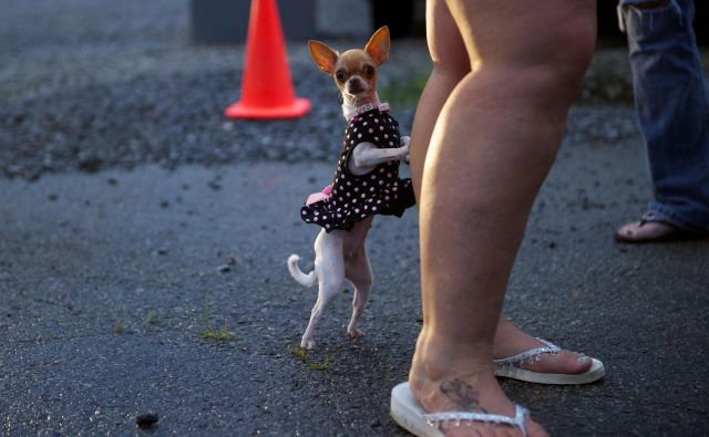 FOTO: Reuters