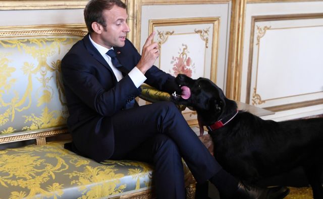 Emmanuel Macron s svojim psom Nemom. FOTO: Reuters
