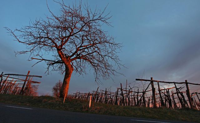 »A veš, da nastopaš v Omerzovi novi knjigi o Dragi/Karli? Imeli so te za sumljivo osebo, ki skozi svojo knjižnico dopušča &#39;provokacije&#39; zamejcev ...« FOTO: Matej Družnik