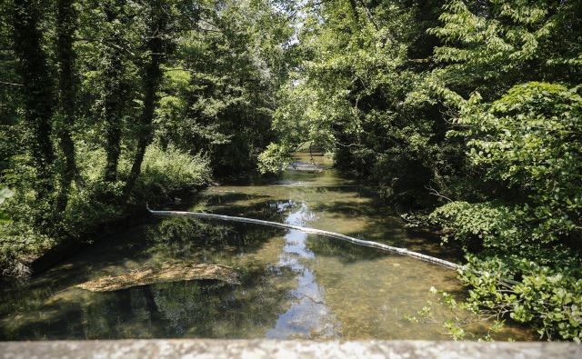 Rižana tik ob izviru, kjer so namestili plavajoče ovire za zajezitev goriva, če bi priplavalo na površje.  Foto Uroš Hočevar