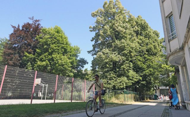 Pobude, da bi občina odkupila zemljišče in razširila zunanje površine osnovne šole Majde Vrhovnik, niso bile uspešne. FotoTomi Lombar