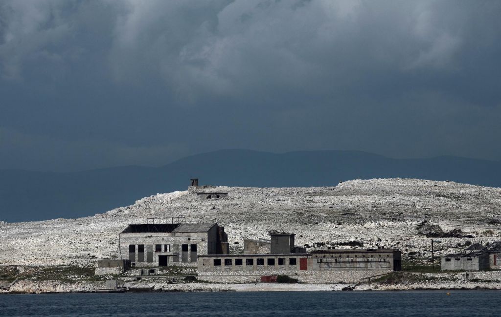 Hrast se vrača na Goli otok