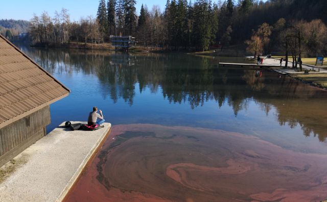 Vabljeni strokovnjaki so pravilno ugotovili, da se stanje Blejskega jezera slabša, strokovni dokazi krivde za onesnaženje pa so bili izredno borni. Foto Dejan Javornik