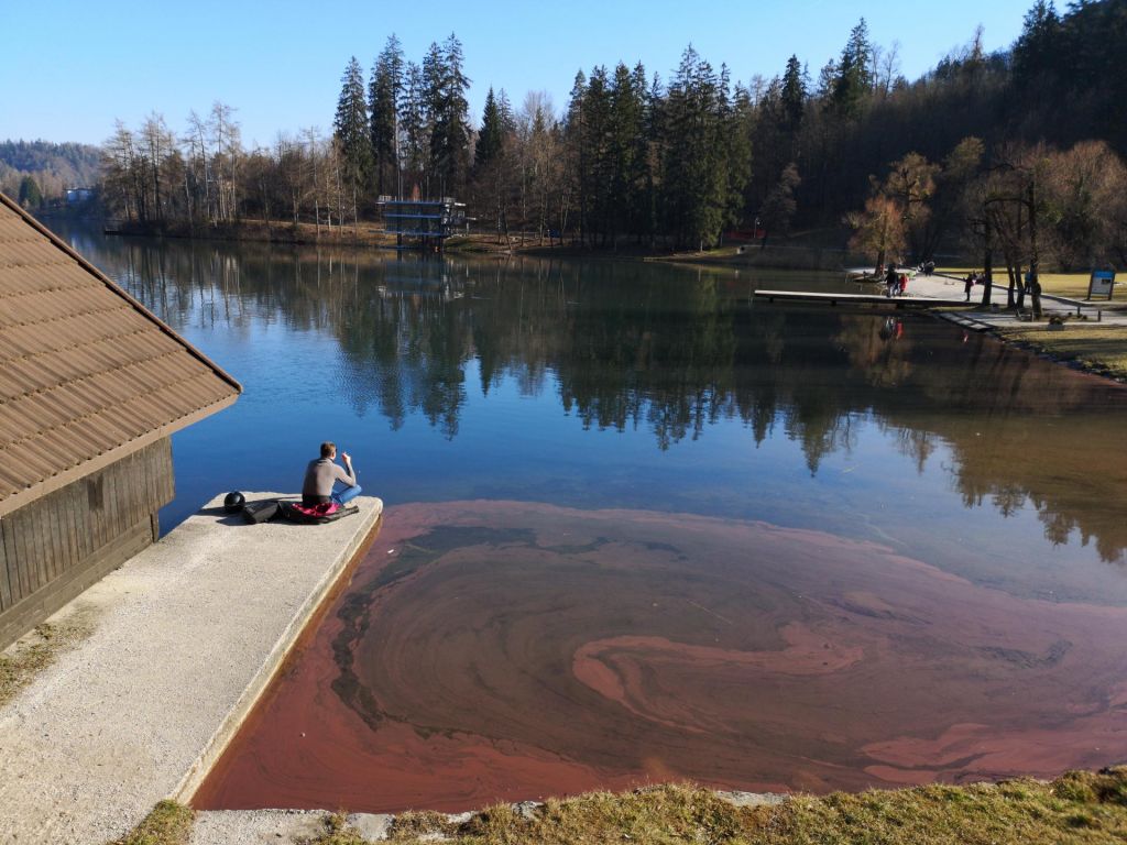 Blejsko jezero danes in nikoli več?