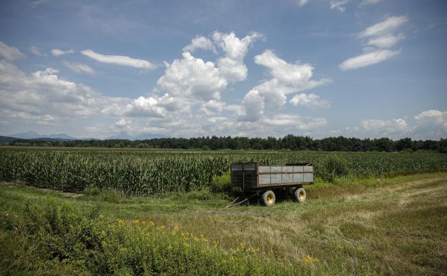 Povezovalni kanal C0 ne odpravlja 4500 greznic, saj nanj ni in ne sme biti priključen noben hišni priključek. Foto Uroš Hočevar