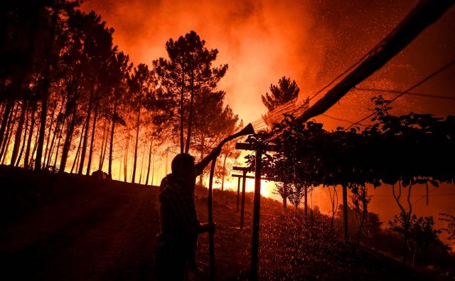 Po podatkih portugalske civilne zaščite se gasilci v regiji borijo s tremi požari. FOTO: Patricia De Melo Moreira/AFP