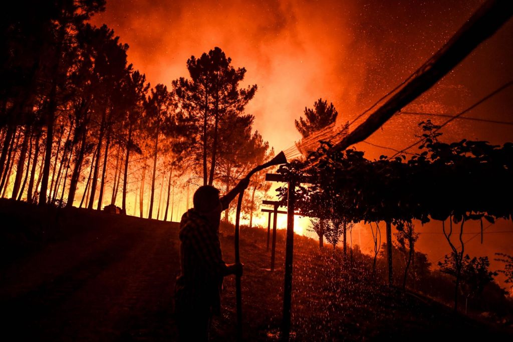 FOTO:Portugalsko zajeli obsežni gozdni požari