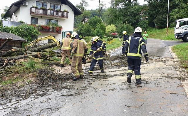 V Domžalah je veter podrl drevo. FOTO: CZR Domžale