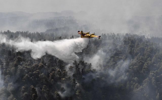 Požar je na otoku Evia, severovzhodno od Aten, uničil skoraj ves gozd. FOTO: Louisa Gouliamaki/Afp