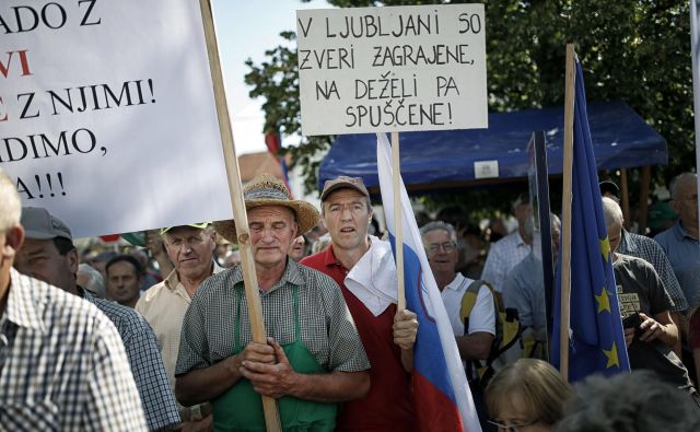 Volkove je treba spraviti v ograde, zraven pa naj gre še Zajc, pravijo kmetje. FOTO: Blaž� Samec/Delo