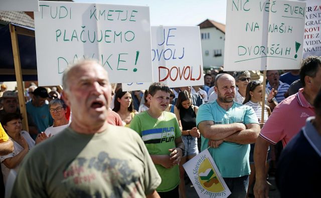 V Velikih Laščah se je zbralo približno sto ljudi. FOTO: Blaž Samec/Delo