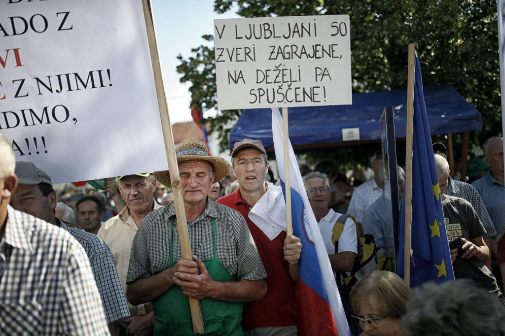 FOTO:Medved zaradi volkov zahteva Zajčevo glavo