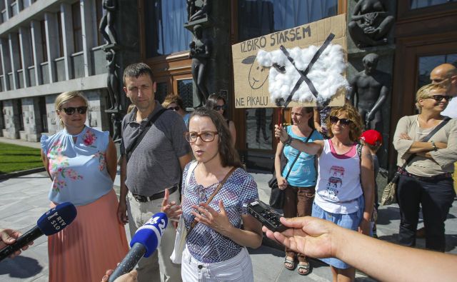 Starši so ob sprejemanju novele ZOFVI, ki so jo pripravili na izobraževalnem ministrstvu, protestirali, saj bi se njihov položaj poslabšal. FOTO: Jože Suhadolnik/Delo