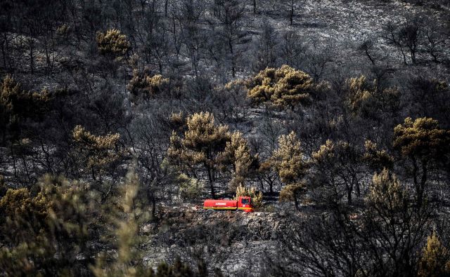 Požar je izbruhnil ob 3. uri po lokalnem času ob cesti. FOTO: Angelos Tzortzinis/AFP