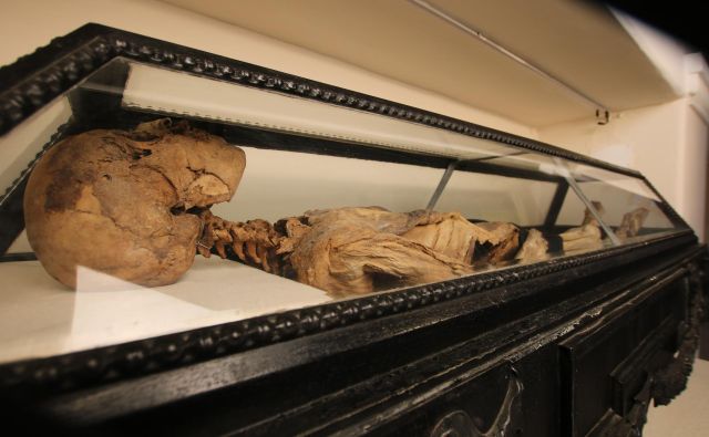 Hadikova mumija že od devetnajstega stoletja buri domišljijo. Foto Jože Pojbič