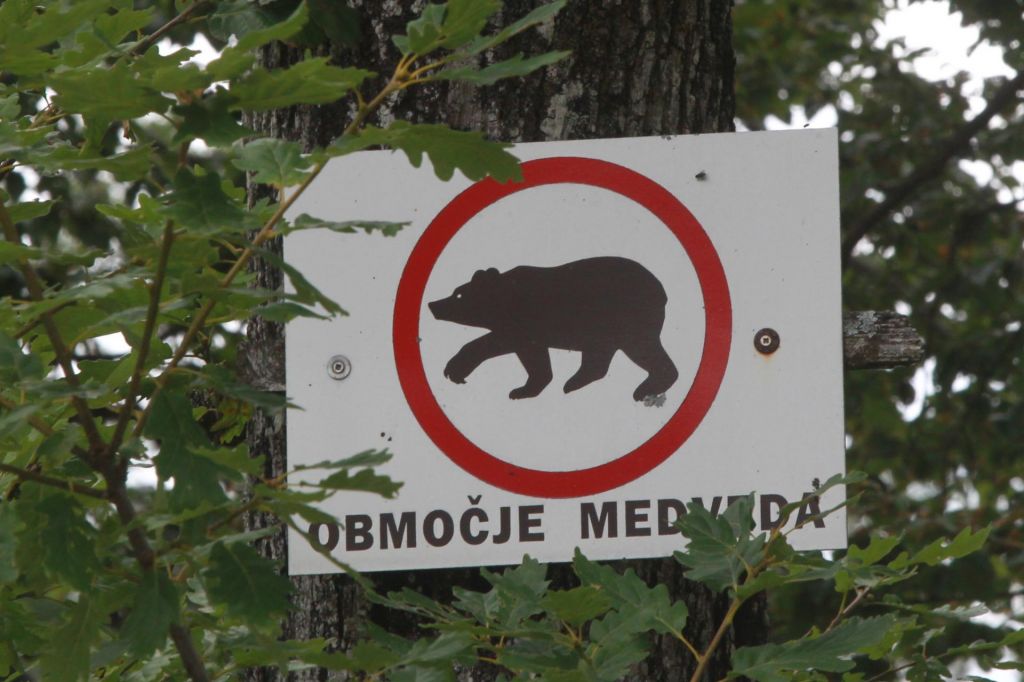 Okoli dvesto protestnikov se je v bran medvedov in volkov zbralo na Trgu republike